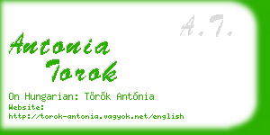 antonia torok business card